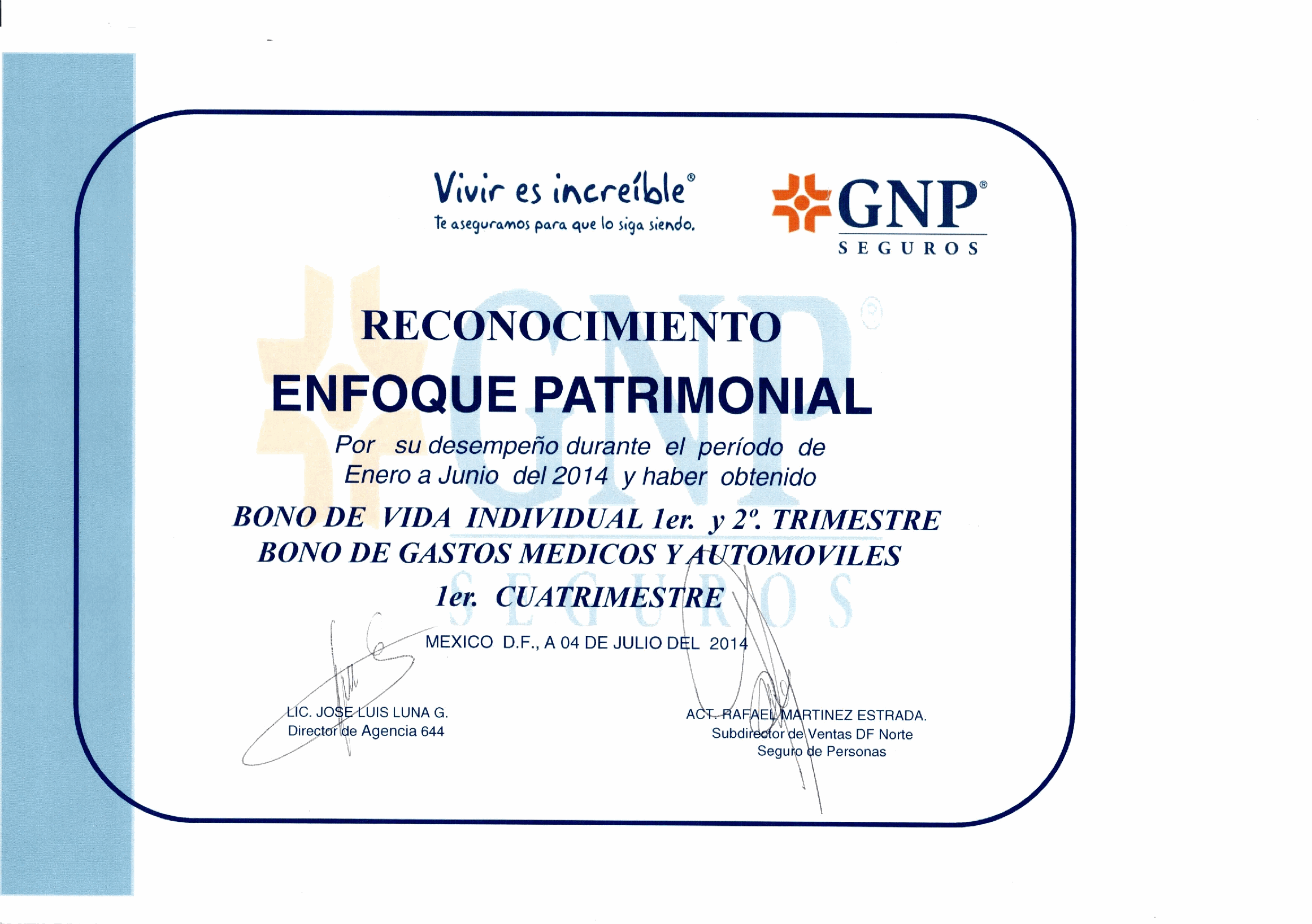 Reconocimiento GNP 11