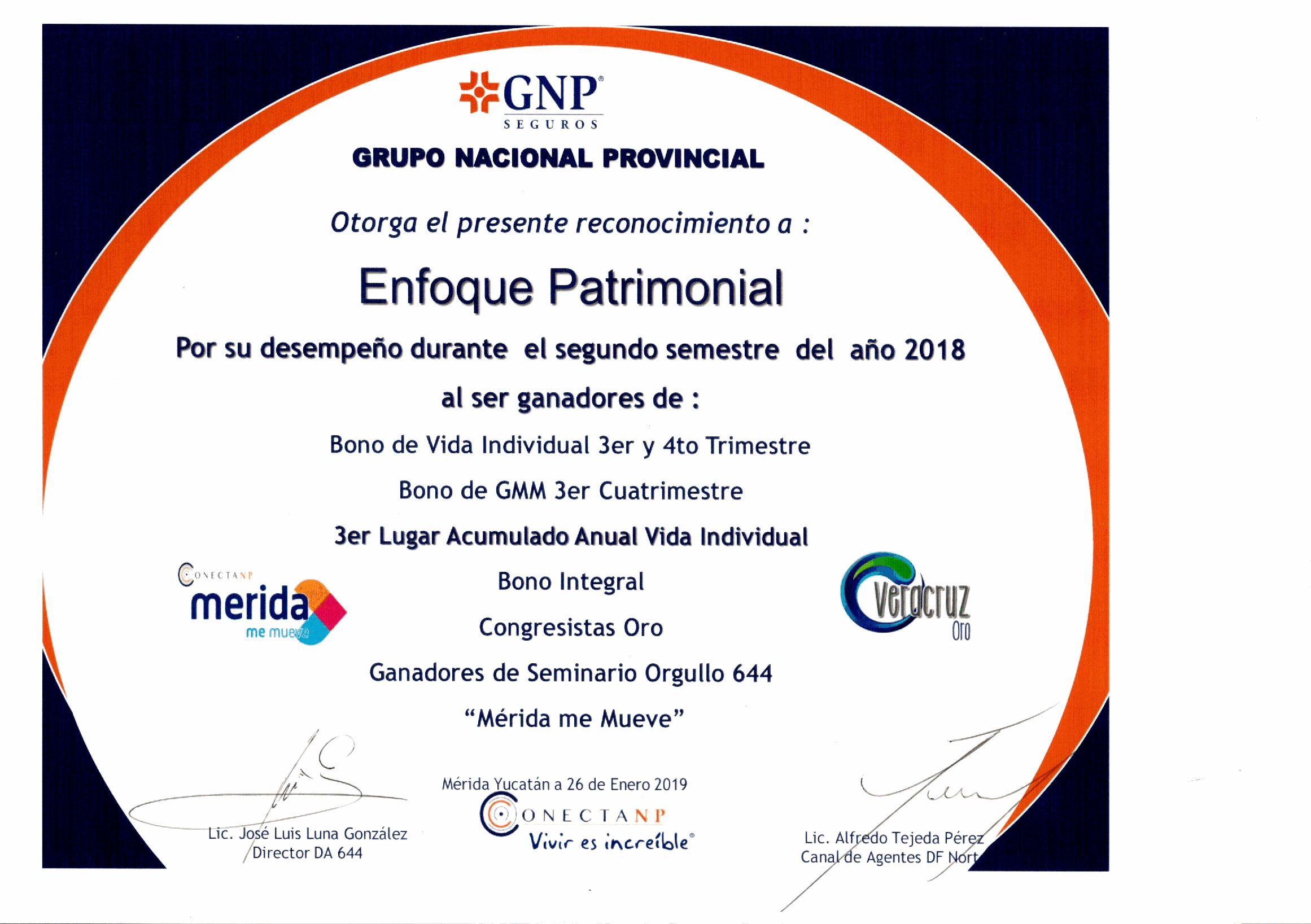 Reconocimiento GNP 13